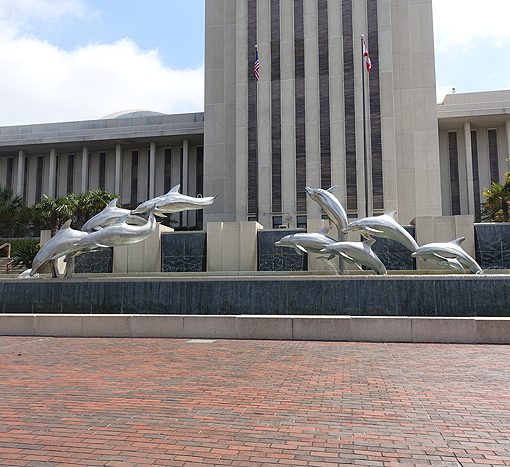 Capitol-dolphinsworking