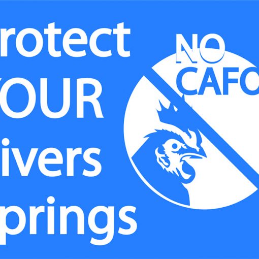 NO CAFO Lawn Signs_BlueChicken