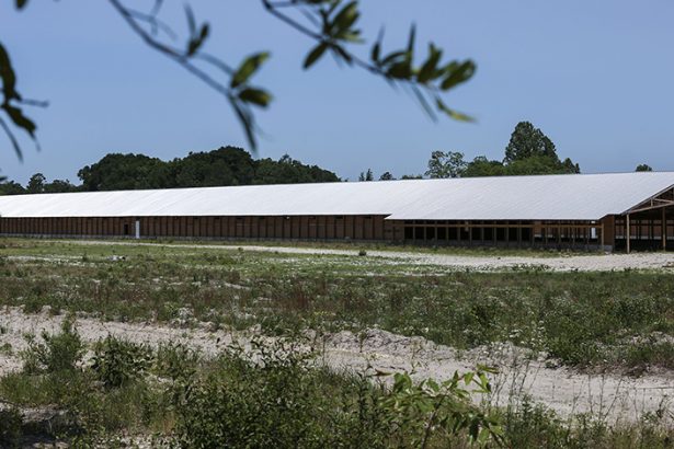 ChickenCAFOPhoto2 In: Opposition to CAFOs | Our Santa Fe River, Inc. (OSFR) | Protecting the Santa Fe River