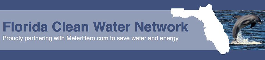 Flacleanwater network