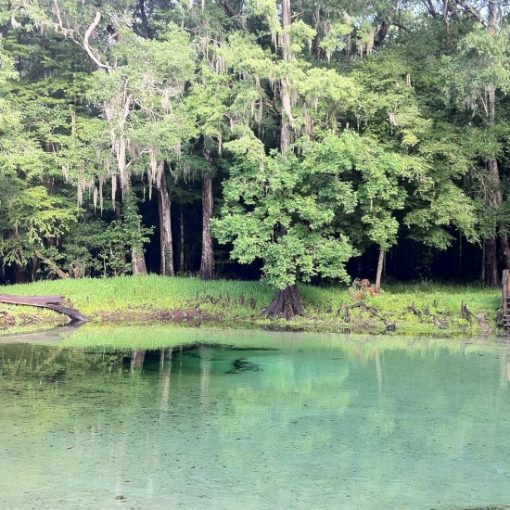 Rum Island Spring