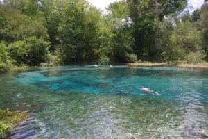 Ichetucknee/MMJ/2014