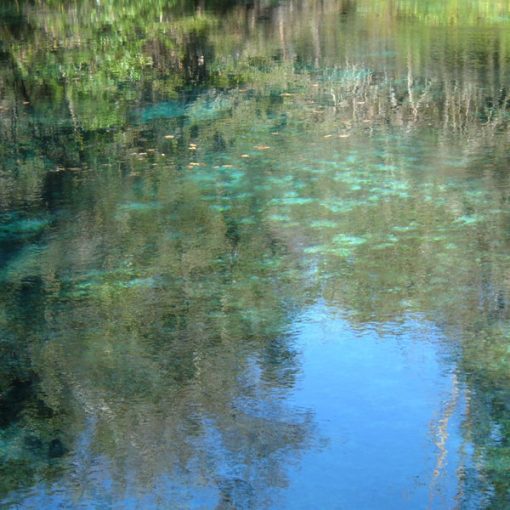 IchetuckneeCrownJewel In: Don't Be Fooled by Scott and DEP on Water Issues--Editorial by Lucinda Merritt | Our Santa Fe River, Inc. (OSFR) | Protecting the Santa Fe River