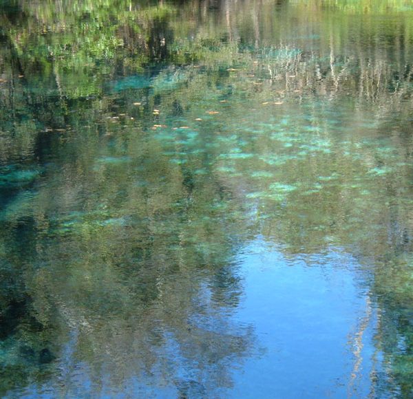 IchetuckneeCrownJewel In: Don't Be Fooled by Scott and DEP on Water Issues--Editorial by Lucinda Merritt | Our Santa Fe River, Inc. (OSFR) | Protecting the Santa Fe River