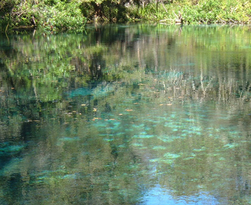 IchetuckneeCrownJewelworking In: The State of Florida Is Overseeing the Death of the Ichetucknee | Our Santa Fe River, Inc. (OSFR) | Protecting the Santa Fe River