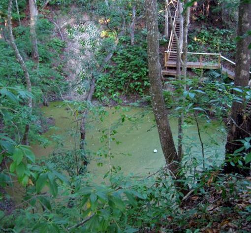 Mill Creek Sink