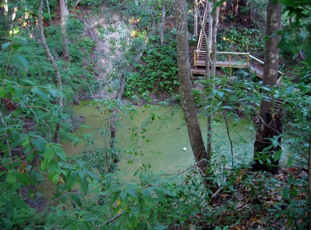 Mill Creek Sink