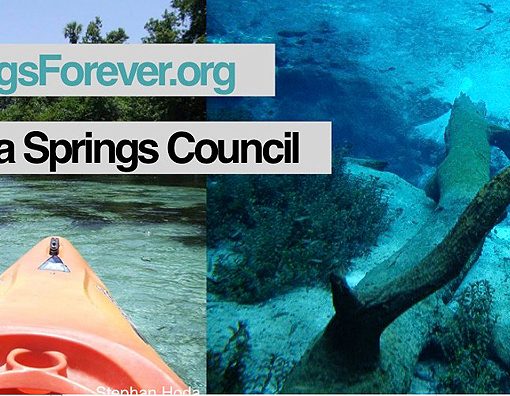 SPRINGS-COUNCIL