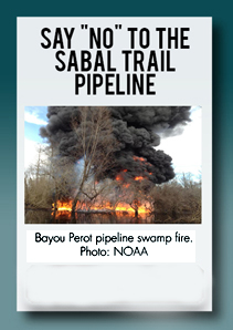 SabalTrailPipelineActionAlert In: Heywood Article Corrects Inaccuracies | Our Santa Fe River, Inc. (OSFR) | Protecting the Santa Fe River