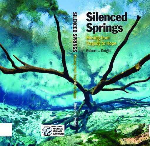 SilencedSpringsBook1