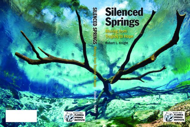 SilencedSpringsBook1