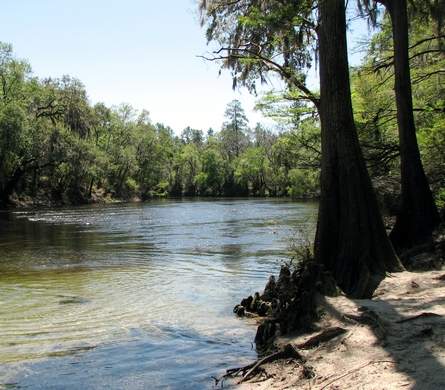 bilde In: SB 2080 Should Be Vetoed | Our Santa Fe River, Inc. (OSFR) | Protecting the Santa Fe River