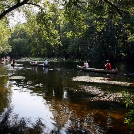 bilde running out of water In: Running Out of Water | Our Santa Fe River, Inc. (OSFR) | Protecting the Santa Fe River