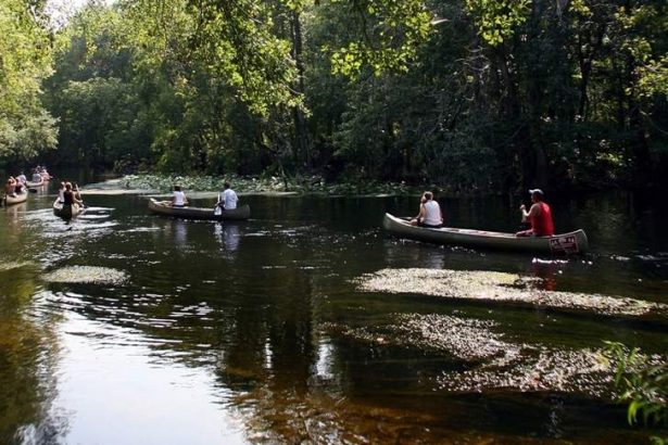 bilde running out of water In: Running Out of Water | Our Santa Fe River, Inc. (OSFR) | Protecting the Santa Fe River