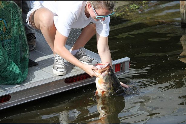 blackbass