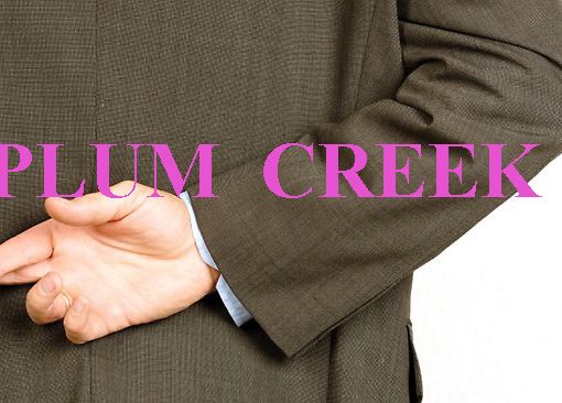 deceit copy