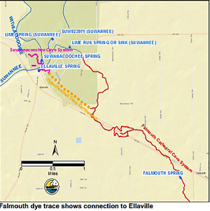 falmouth featured In: Falmouth Dye Trace Reveals Unknown Connectivity | Our Santa Fe River, Inc. (OSFR) | Protecting the Santa Fe River