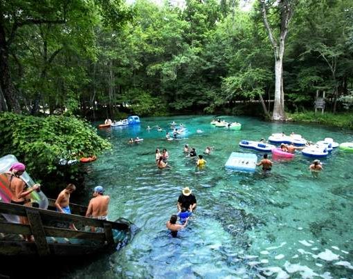 ginniesprings