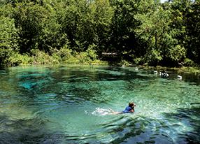 ichespringsReporter2014