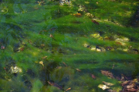 image002 In: Threats to the Santa Fe River | Our Santa Fe River, Inc. (OSFR) | Protecting the Santa Fe River image002 In: Threats to the Santa Fe River | Our Santa Fe River, Inc. (OSFR) | Protecting the Santa Fe River