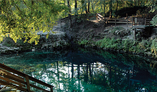 madisonbluespring In: Nestle And Madison Blue Springs | Our Santa Fe River, Inc. (OSFR) | Protecting the Santa Fe River