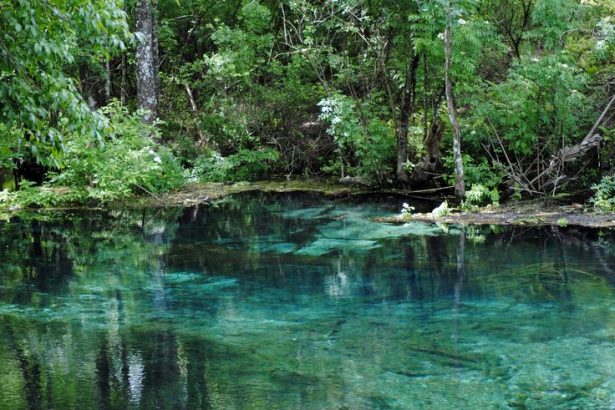 Misleading Headlines in the Gainesville Sun