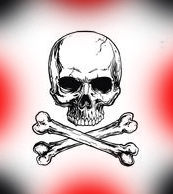 skull In: Shall We Negotiate How Dead Your Body Will Be? | Our Santa Fe River, Inc. (OSFR) | Protecting the Santa Fe River