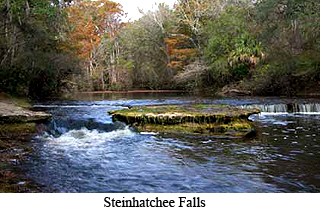 steinhatchee falls copy In: SRWMD, Partners Assist Producers To Quantify Water Reduction | Our Santa Fe River, Inc. (OSFR) | Protecting the Santa Fe River