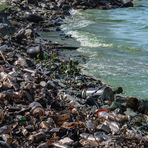 water pollution2