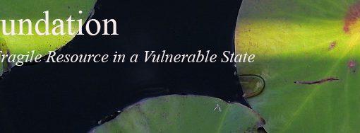 watery foundation copy In: Florida Waterisms | Our Santa Fe River, Inc. (OSFR) | Protecting the Santa Fe River